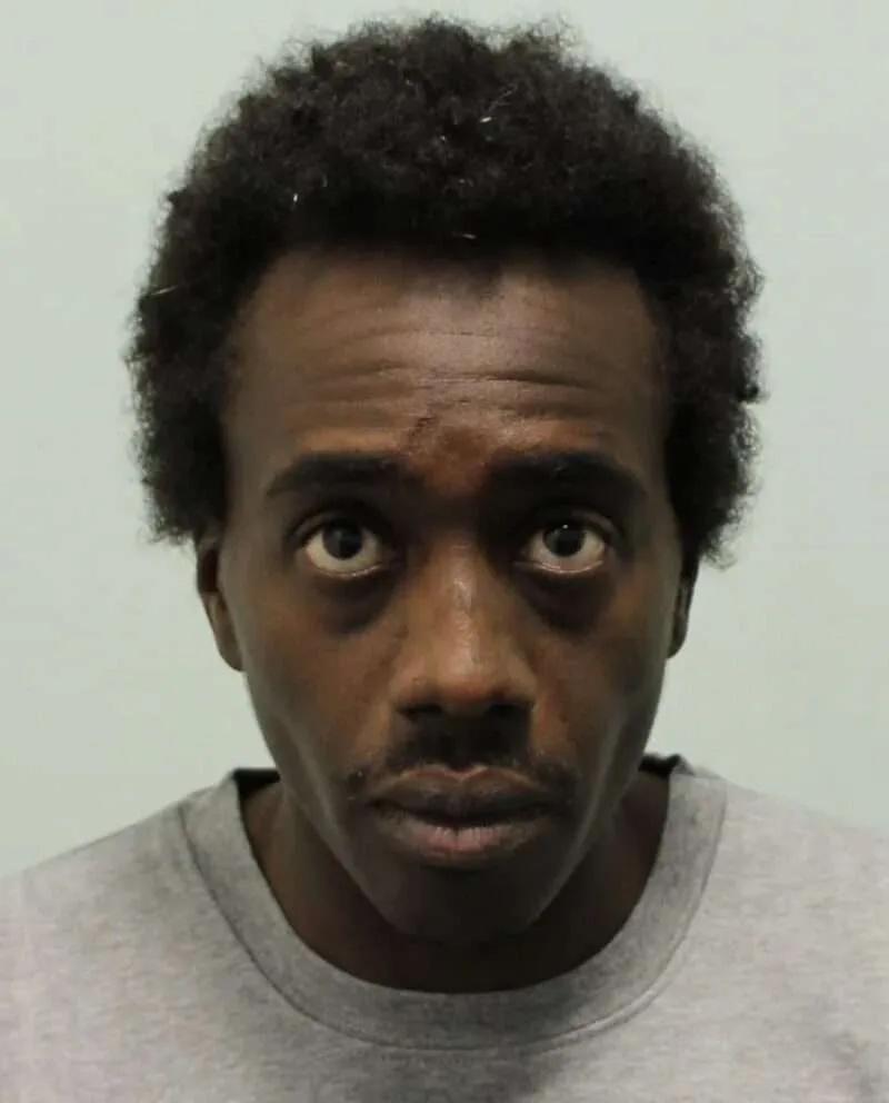 Son Jailed Indefinitely for Manslaughter of Father and Random Street Attacks in Southall