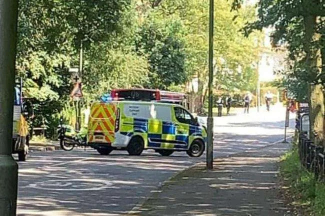 Stolen Car Chase Ends in Crash and Head Injury as Suspects Flee in Mottingham