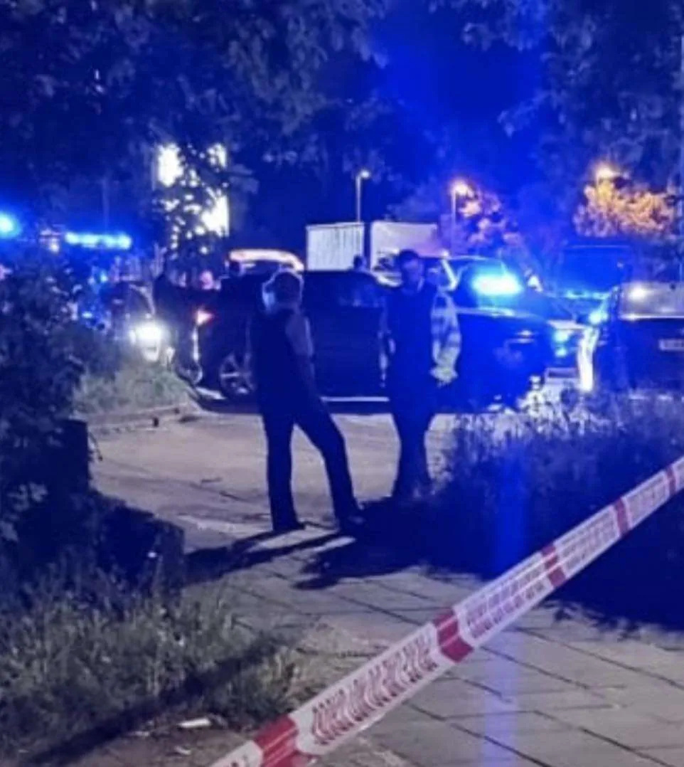 Stolen Range Rover Police Chase Ends in Crash and Double Arrest on A40 in Brent