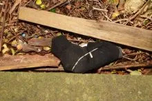 Two Men Jailed Over Leeds Shotgun Blast After DNA Links Them to Loaded Handgun