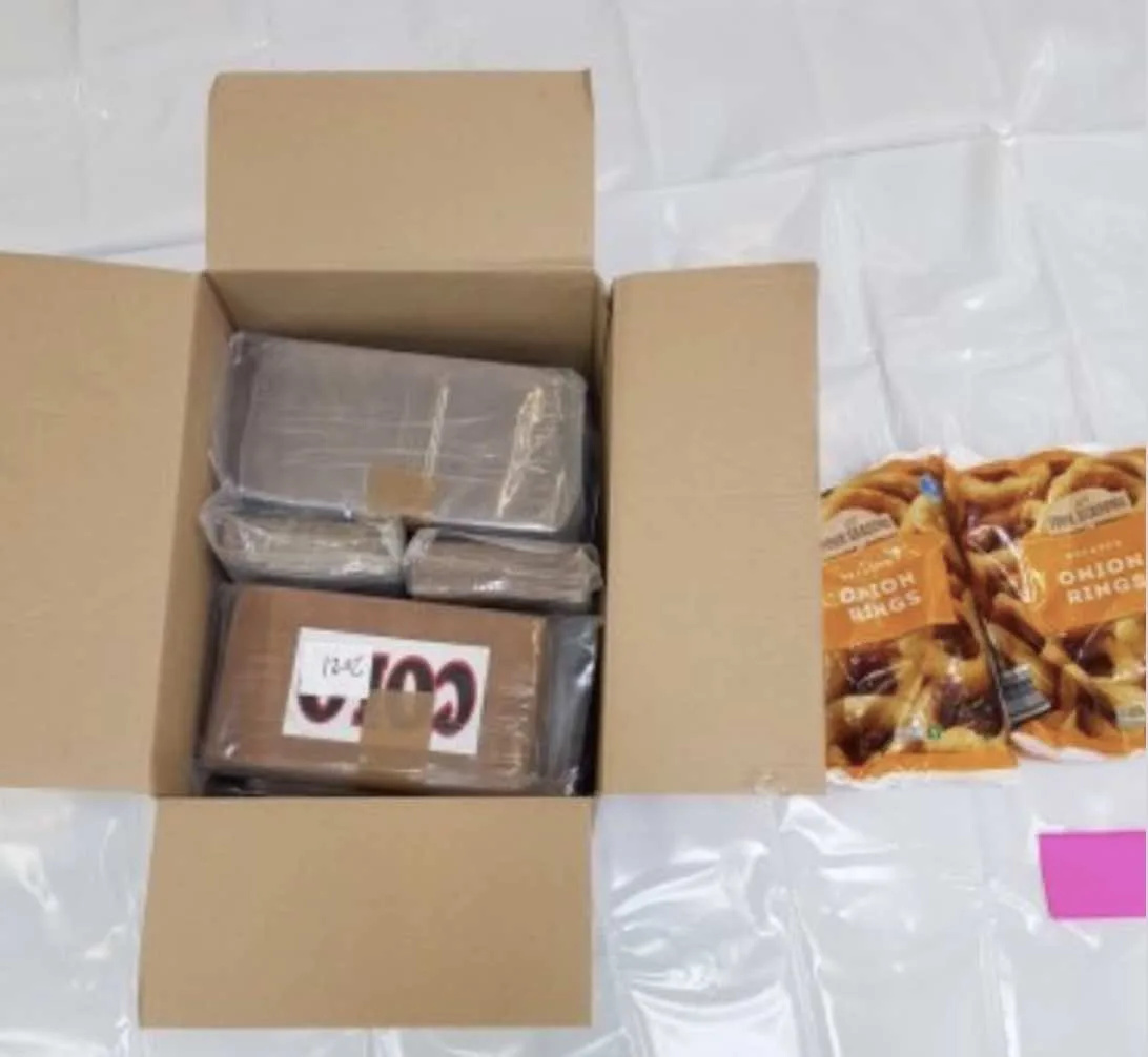 £33m Cocaine Haul Hidden in Frozen Onion Rings Seized from Polish Lorry Driver