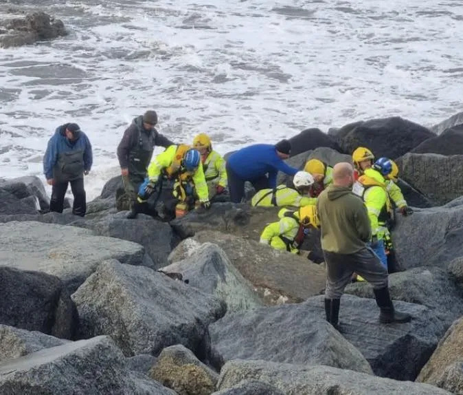 Heroes Unite: Fishermen and Rescue Teams Airlift Woman from Seaham Harbour Rocks