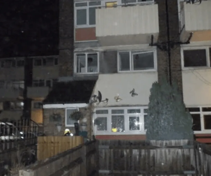 Freezer Fault Sparks Basement Blaze in East London Maisonette—Firefighters Urge White Goods Safety