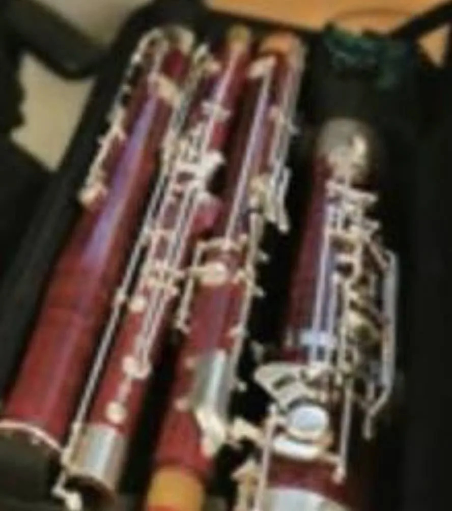 Priceless £40,000 Bassoon Stolen on Lewes-Brighton Train Recovered in Brighton Garden