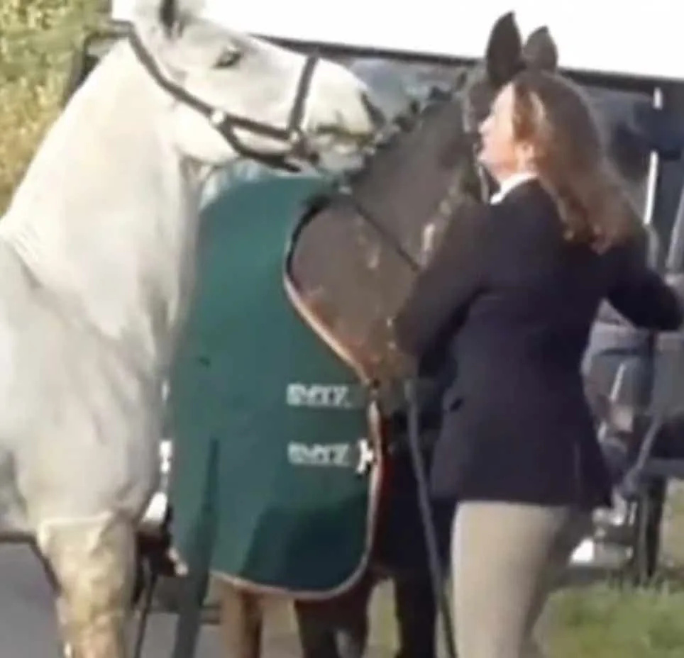 Teacher Sacked After Viral Hunt Video Showing Horse Abuse Sparks RSPCA Probe