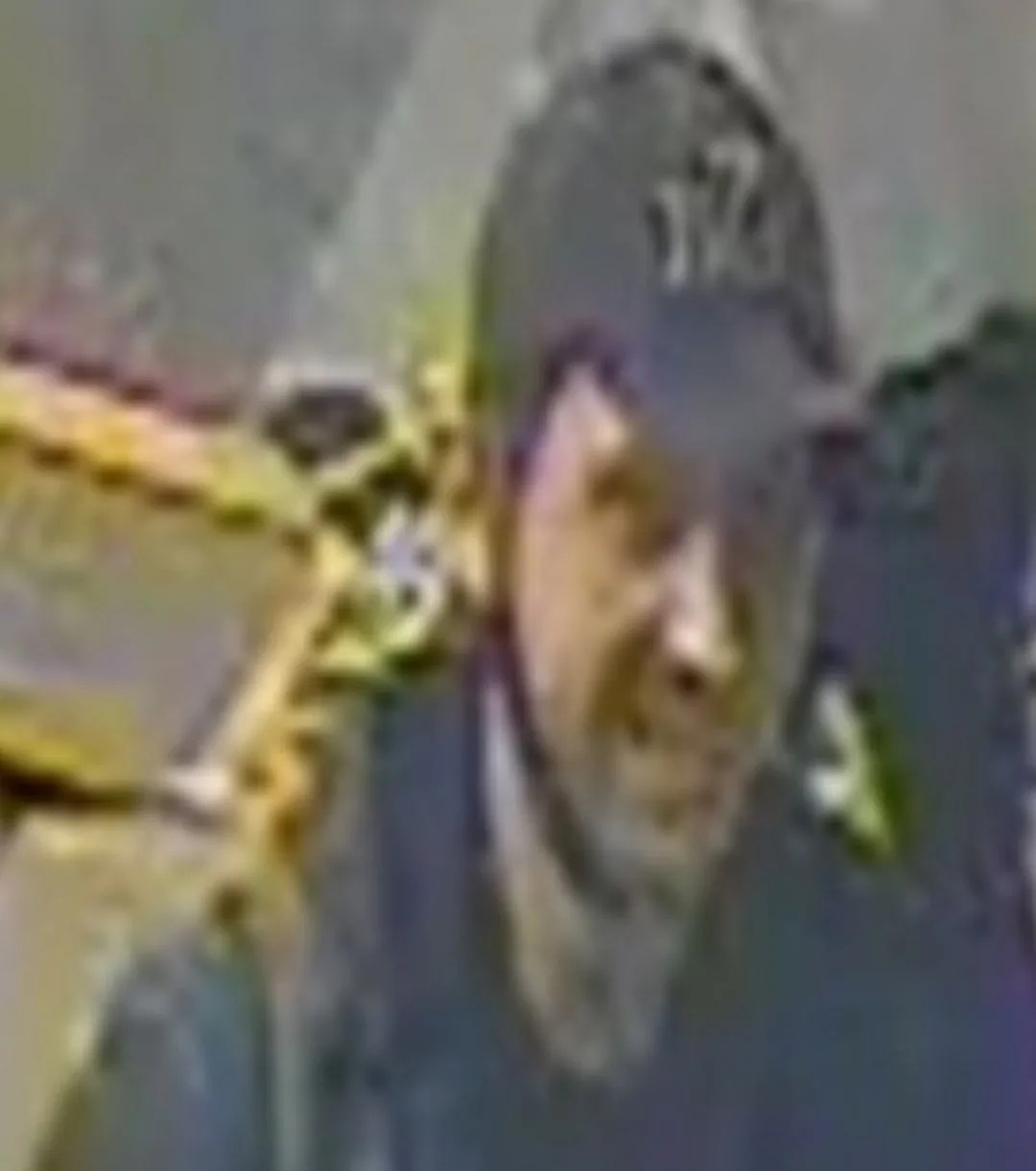 Woman Sexually Assaulted on Birmingham New Street Platform – Police Release CCTV Image of Suspect