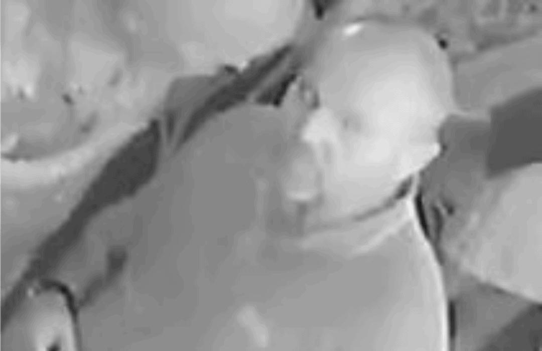 Identity appeal after woman assaulted outside Hastings bar