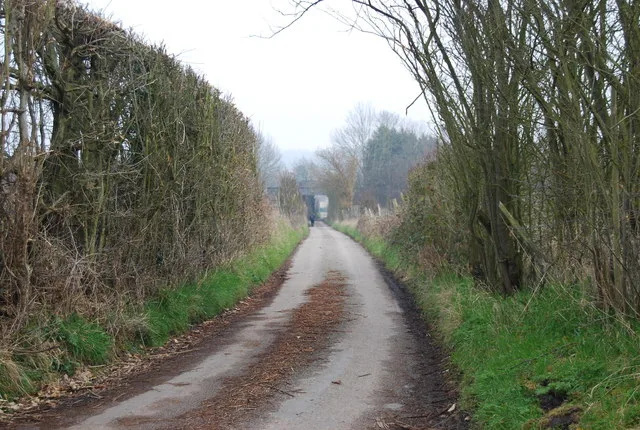 Officers investigating a report of a dog biting a woman near Canterbury are appealing for witnesses
