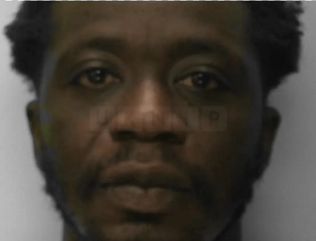 Drug Dealer on the Run for Three Years Nabbed in Police Car Sting in South-East London