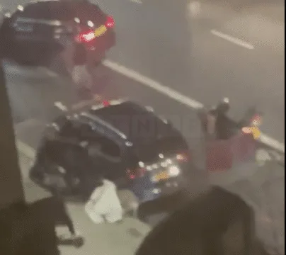 XL Bully Dog Shot Dead by Armed Police After Attacking Four Near Battersea Park Road