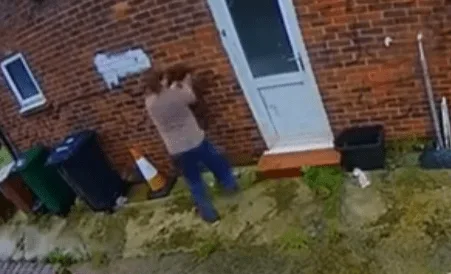 Brighton Dog Walker Luke Cobb Admits Savage Spaniel Abuse Caught on Video
