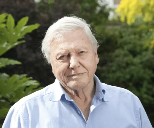Sir David Attenborough, 97, Returns with Stunning New BBC Series ‘Mammals’ Premiering March 31