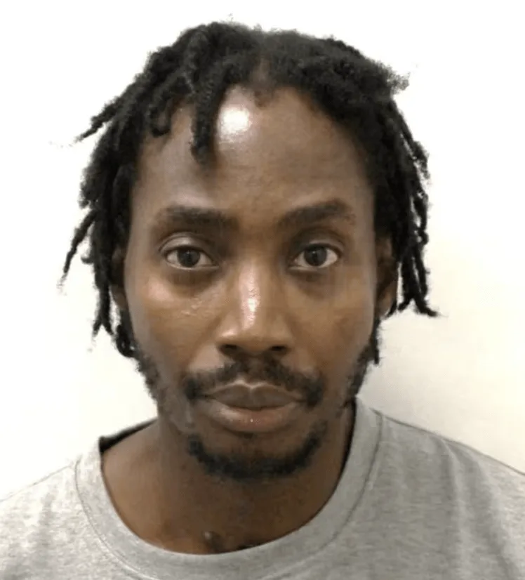 Finsbury Park Stabbing: David Odunuga Found Guilty of Brian Edwards Murder After CCTV and DNA Evidence