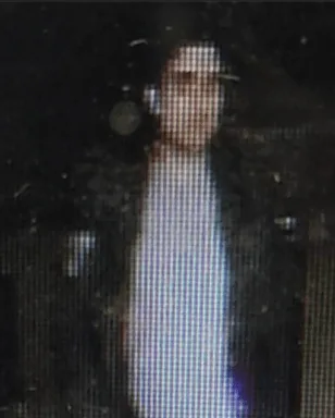 Crawley Tesco Rottweiler Attack: Police Hunt Man Linked to Dangerous Dog Incident