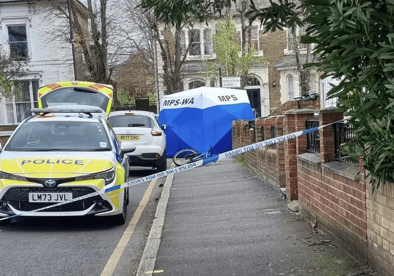 Man Fatally Stabbed at Dawn in Northumberland Park – Murder Probe Underway with No Arrests