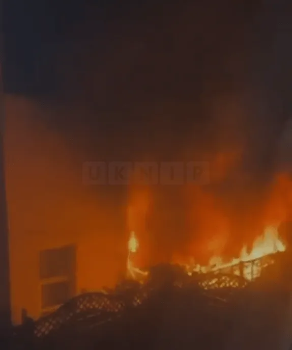 Firefighters Halt Garden Blaze Spreading to Hove Home – No Injuries