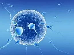 UK Law Breakthrough: People with Undetectable HIV Can Now Donate Eggs and Sperm for Fertility Treatment