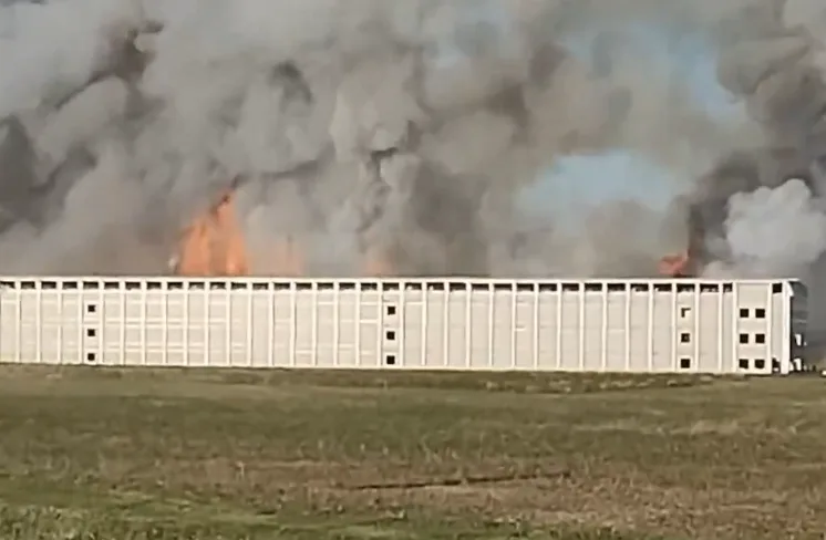 Massive Fire Destroys Illinois Free-Range Egg Farm, Over 1.2 Million Chickens Killed