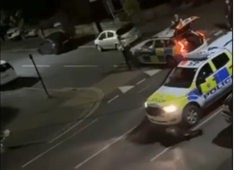 Surrey Cop Pulled from Frontline After Police Car Rams Calf Twice Sparks Outrage