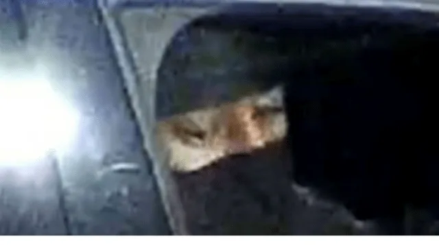 Tottenham Gunfire Horror: Police Launch Manhunt After Shots Fired in Altair Close Carpark