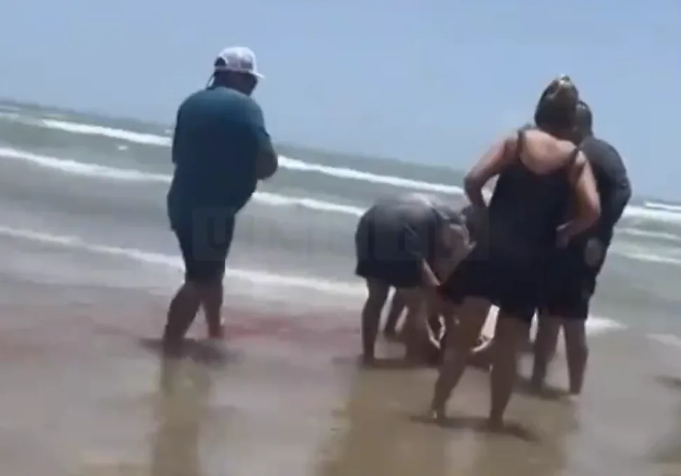 Four Shark Attacks Terrify South Padre Island on Fourth of July – Beach Shut Down After Woman Loses Leg
