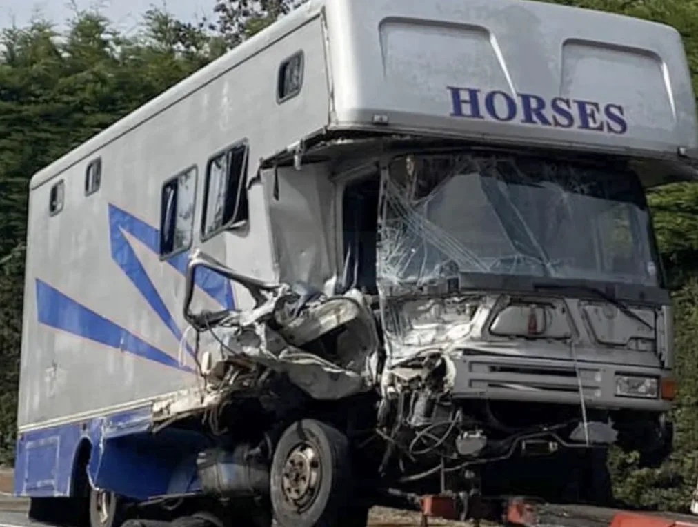 Drunk Irish Driver’s Dangerous Wrong-Way Crash Injures Horsebox Driver, Jailed 16 Months