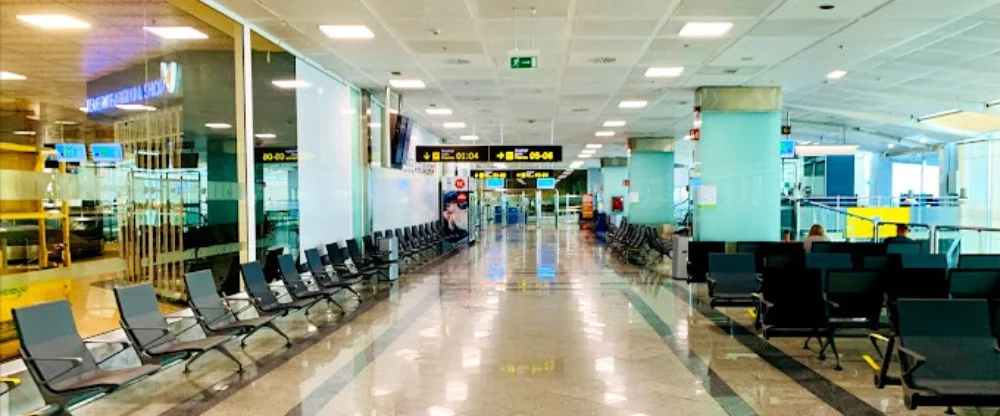 Six Arrested After Wild Stag Do Brawl Erupts on Tenerife Airport Tarmac