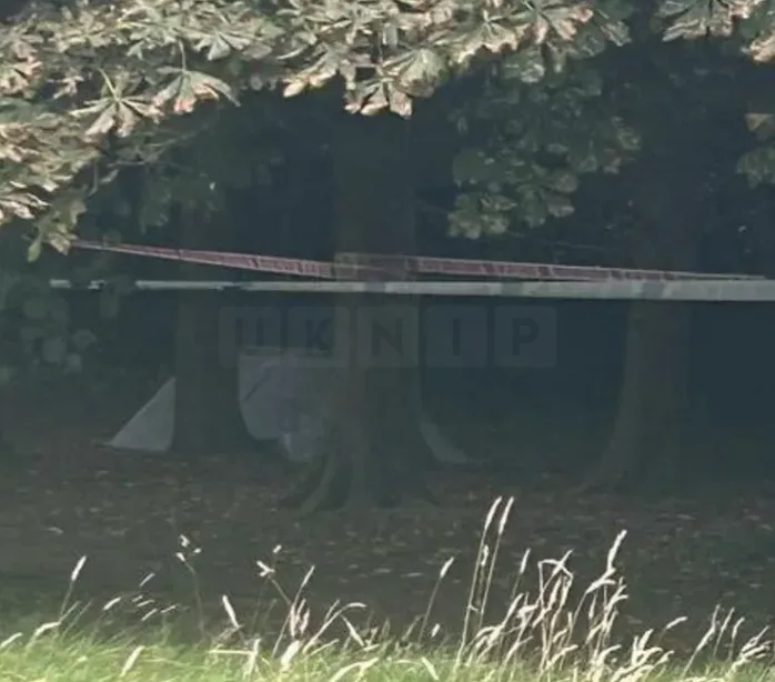 Shock in Sutton: Police Probe Container of Organs Found in Rosehill Park