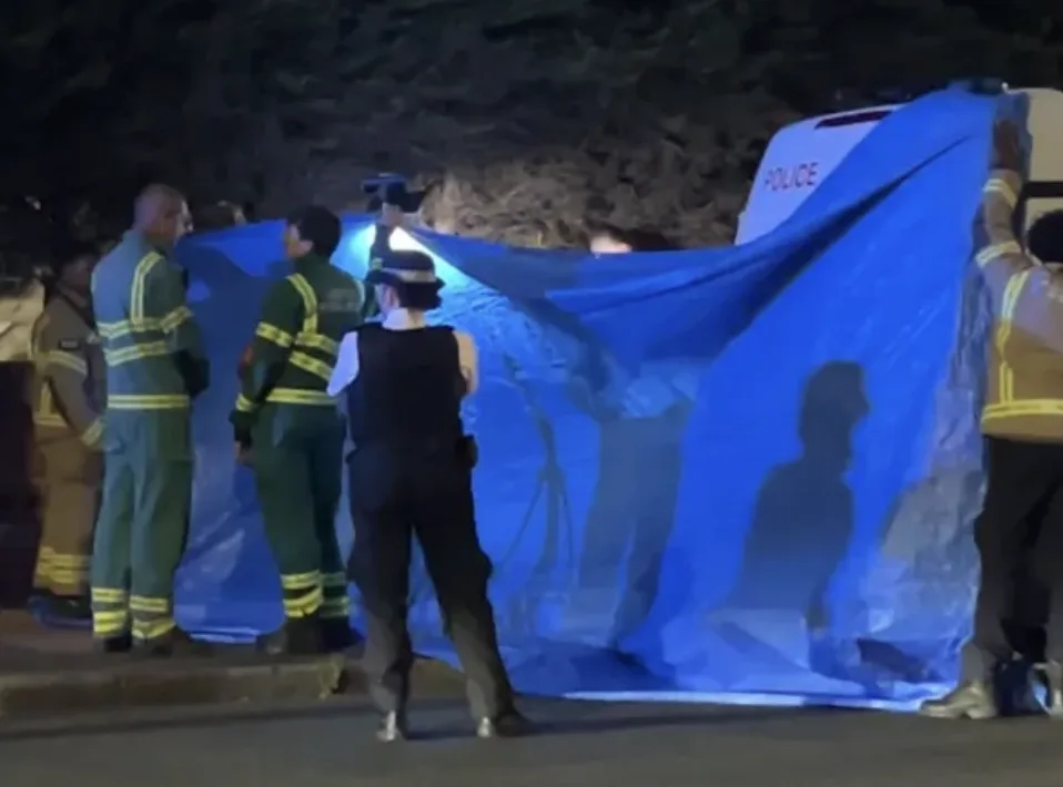 Penge Drama: Man Arrested After Assault, Collapses; Two Officers Hospitalised in Chemical Scare