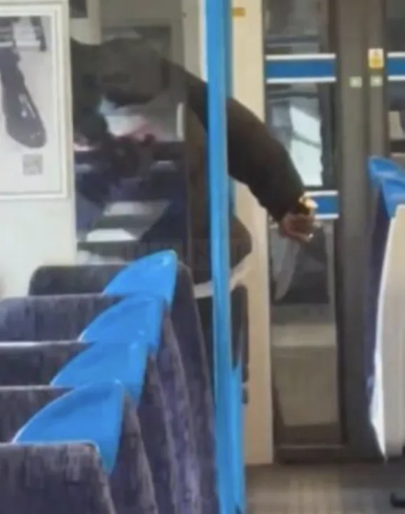 London Train Horror: Teen Stabs Man with Sword-Like Knife in Brutal Three-Minute Attack