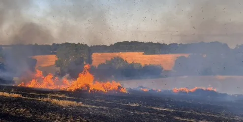 Massive Hay Bale Fire in Gravesend: Smoke Alert Issued, Residents Urged to Stay Indoors