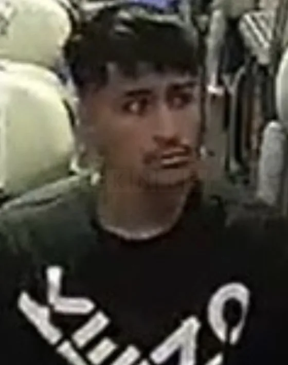 Louis Vuitton Bag Snatched on London Euston to Milton Keynes Train – Police Hunt CCTV Suspect