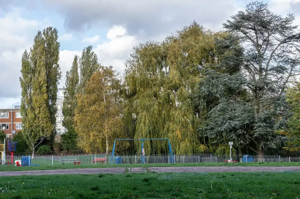 Child Hospitalised After Dog Attack in Southend Park as Police Seize Dog and Launch Probe