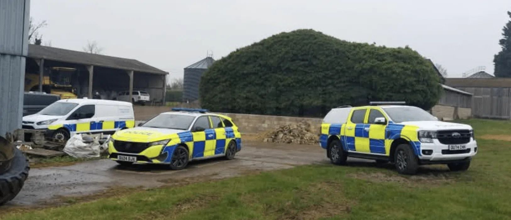 Shock as Four Alpacas and Sheep Shot Dead in East Hatley – Police Hunt Animal Cruelty Culprits