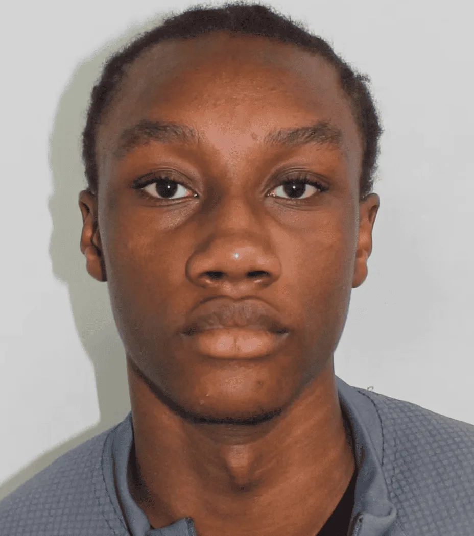 Teen Zombie Knife Attacker Ripped Through Notting Hill Carnival – Guilty of Attempted Murder