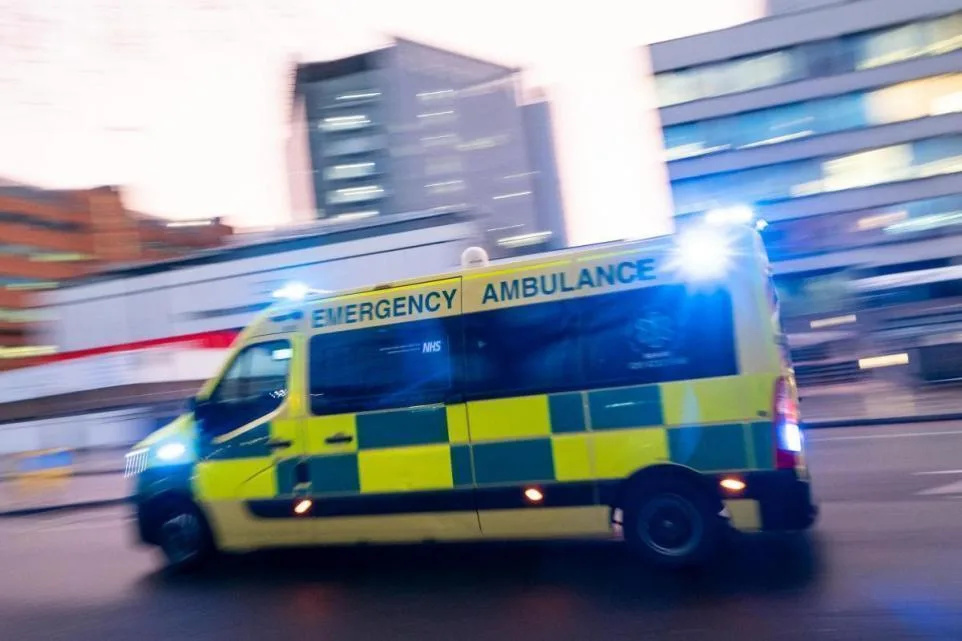 Man Arrested on Suspicion of Arson After Erith Pier Blaze Puts Lives at Risk