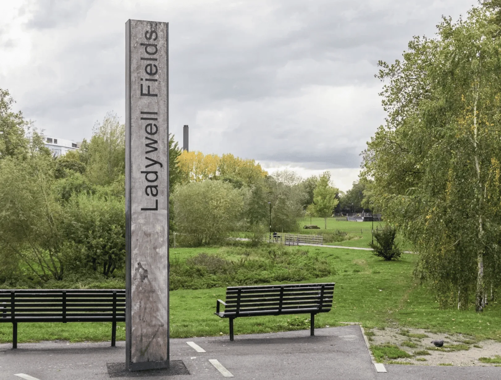 Gunshots Spark Panic in Lewisham’s Ladywell Fields – Police Hunt Witnesses After No Injuries