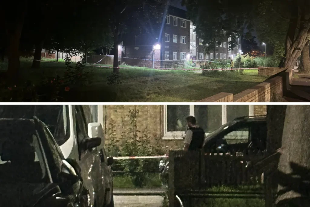Three Met Officers to Face Gross Misconduct Hearings Over Taser Incident with 90-Year-Old Dementia Patient in Peckham