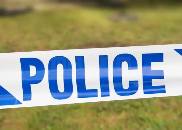 Two Teenage Boys Killed After Car Collides with Tree in Early Hours