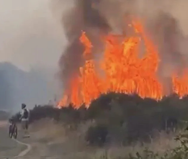 Second Major Wanstead Flats Blaze in 24 Hours Sees 70 Firefighters Battle Flames
