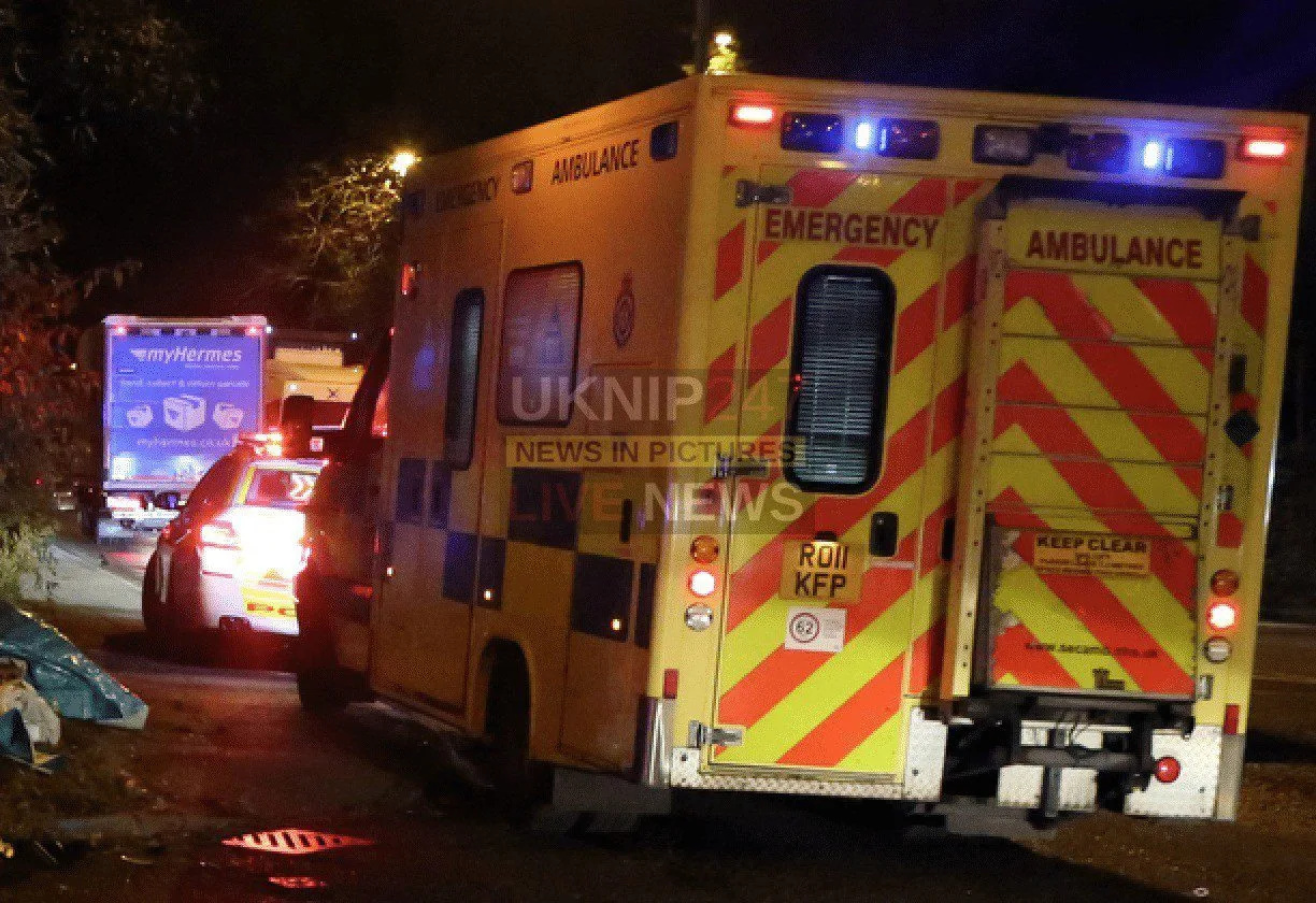 Two Seriously Injured as Mini Cooper Crashes into Tree in Egham – Driver Arrested After Fleeing Scene