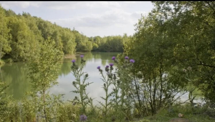 Family Mourns ‘Gentle Soul’ Murdered in Shocking Wickford Care Home Attack