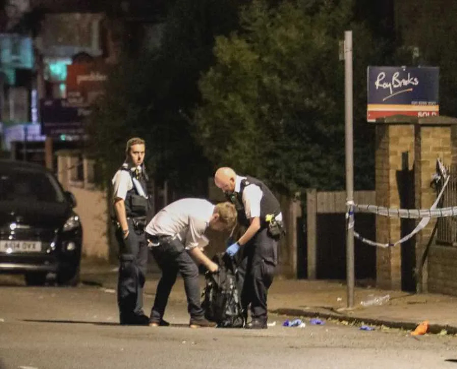 A murder investigation is under way after a woman was stabbed to death in East Dulwich