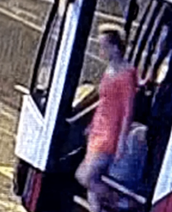 Murder Probe After Body Found Near Guildford A3 – CCTV Reveals Last Sighting of Helen Anderson in Pink Dress