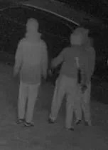 Burglars ‘Fish’ Keys Through Letterbox to Steal Audi and Wheelchair-Adapted Van in Burghfield Raid