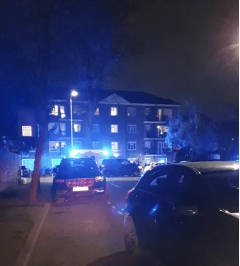 Machete Attack in New Wanstead Leaves Man in 60s Critically Injured After Balcony Fall