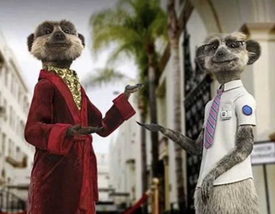 Comparethemarket Ditches Iconic Meerkat Ads Amid Russia-Ukraine Tensions