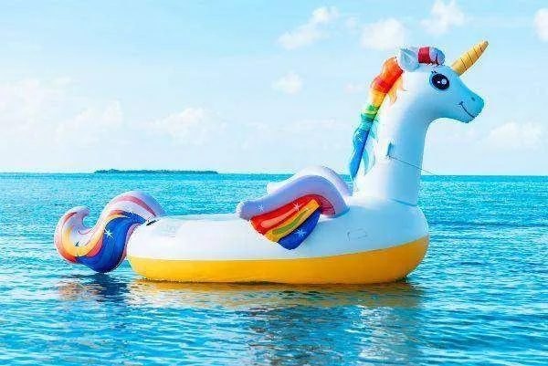 Child Rescued After Inflatable Toy Blows Offshore at Selsey Beach – Coastguard Issues Safety Warning