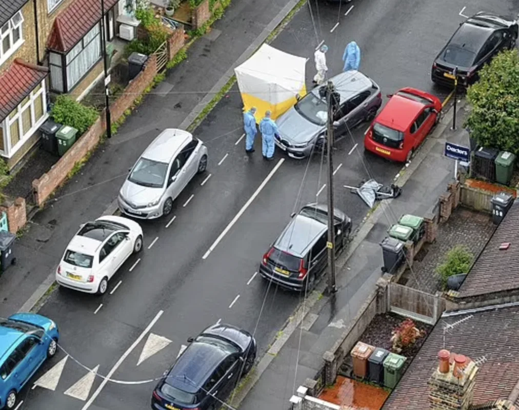 Cyclist Stabs BMW Driver to Death Through Window After Dragging Bike in Shocking London Attack