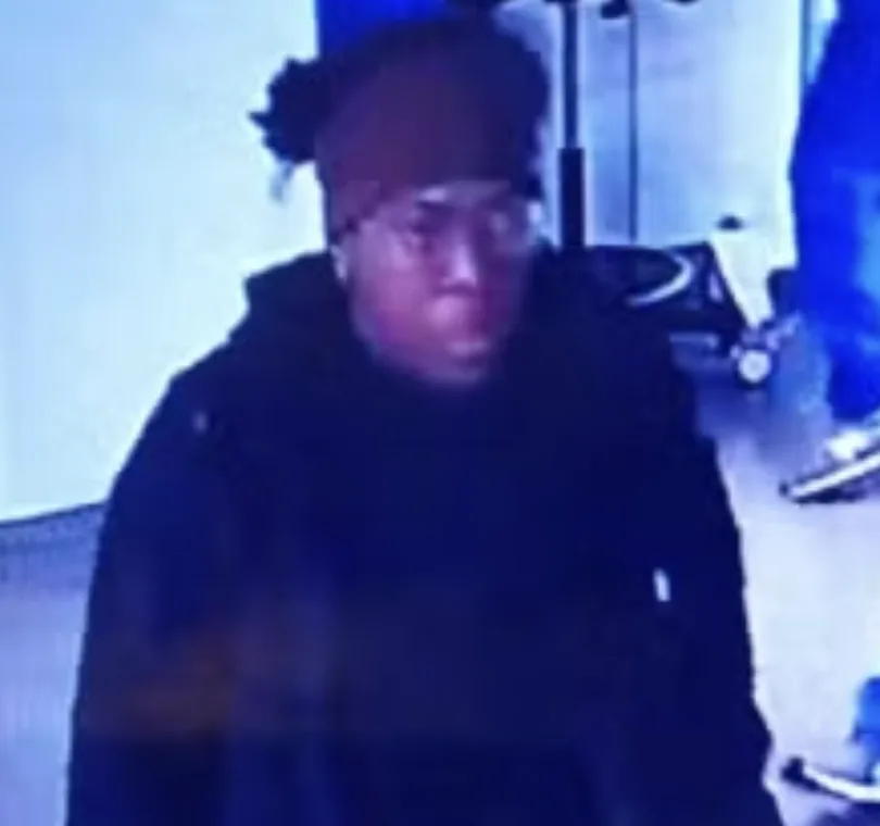 Police Urgently Search for Missing 19-Year-Old Woman in London